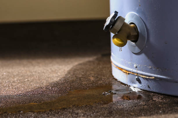 Best Commercial water damage restoration  in Blossom, TX