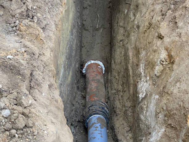 Best Sewage cleanup and water damage restoration  in Blossom, TX