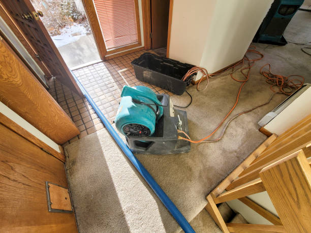 Best Fire Damage Restoration  in Blossom, TX