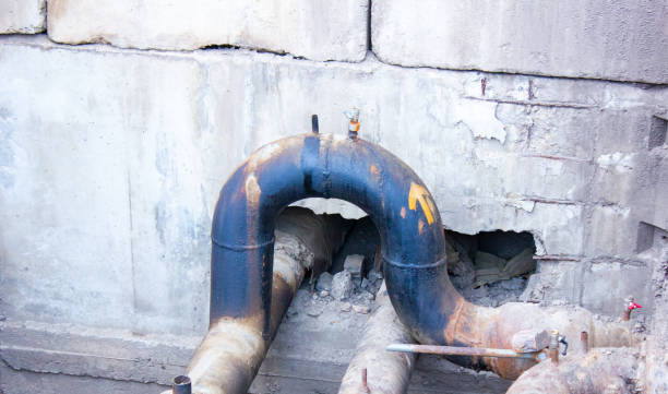 Best Water damage cleanup near me  in Blossom, TX