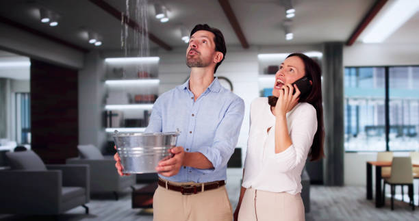Best Ceiling water damage repair  in Blossom, TX