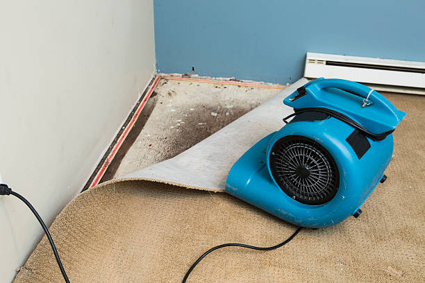 Best Flood restoration services  in Blossom, TX